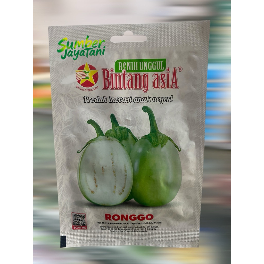 bibit terong hijau bulat ronggo bintang asia