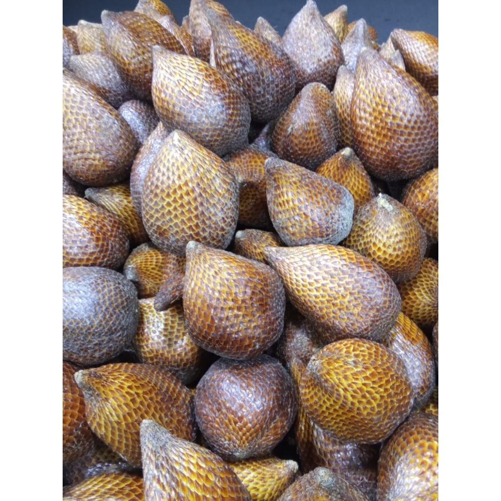 

SALAK PONDOH 1kg 13.000