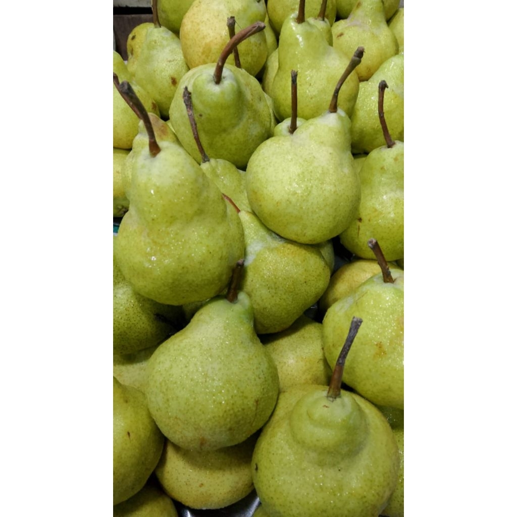 

PEAR YALIE 1Kg 25