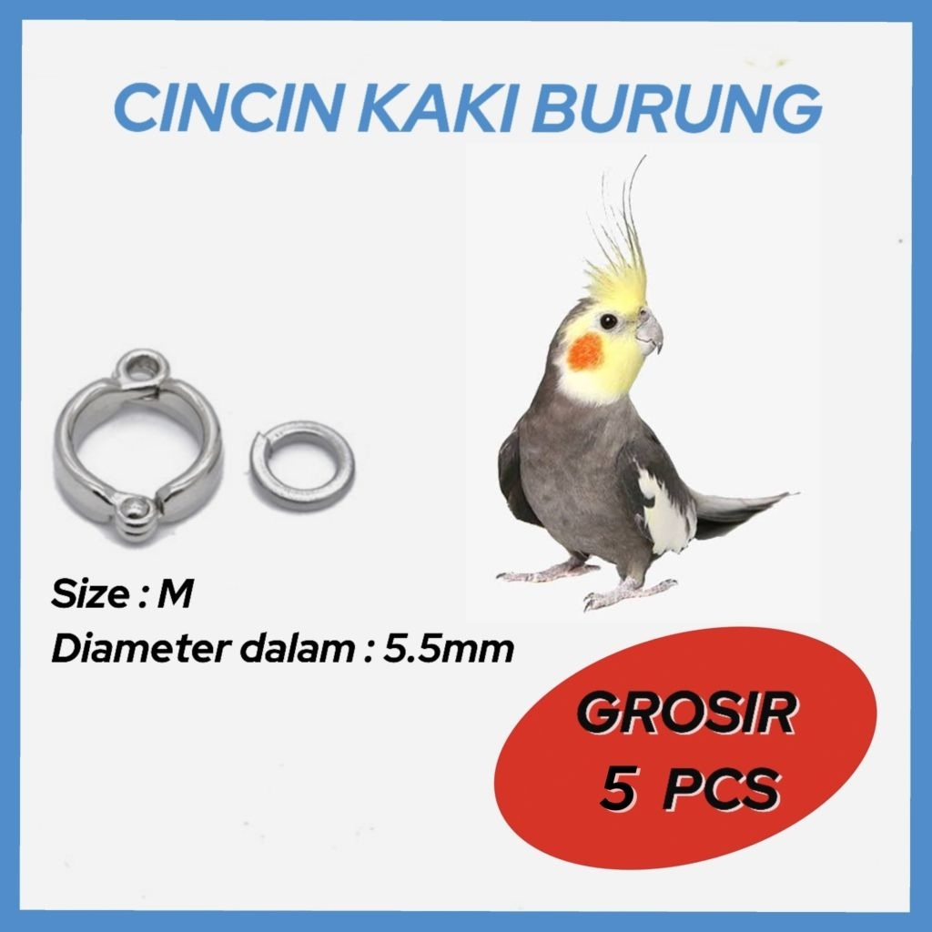 GROSIR 5 PCS RING BORGOL/ CINCIN KAKI BURUNG FALK, BETET, JAWA & MONK.