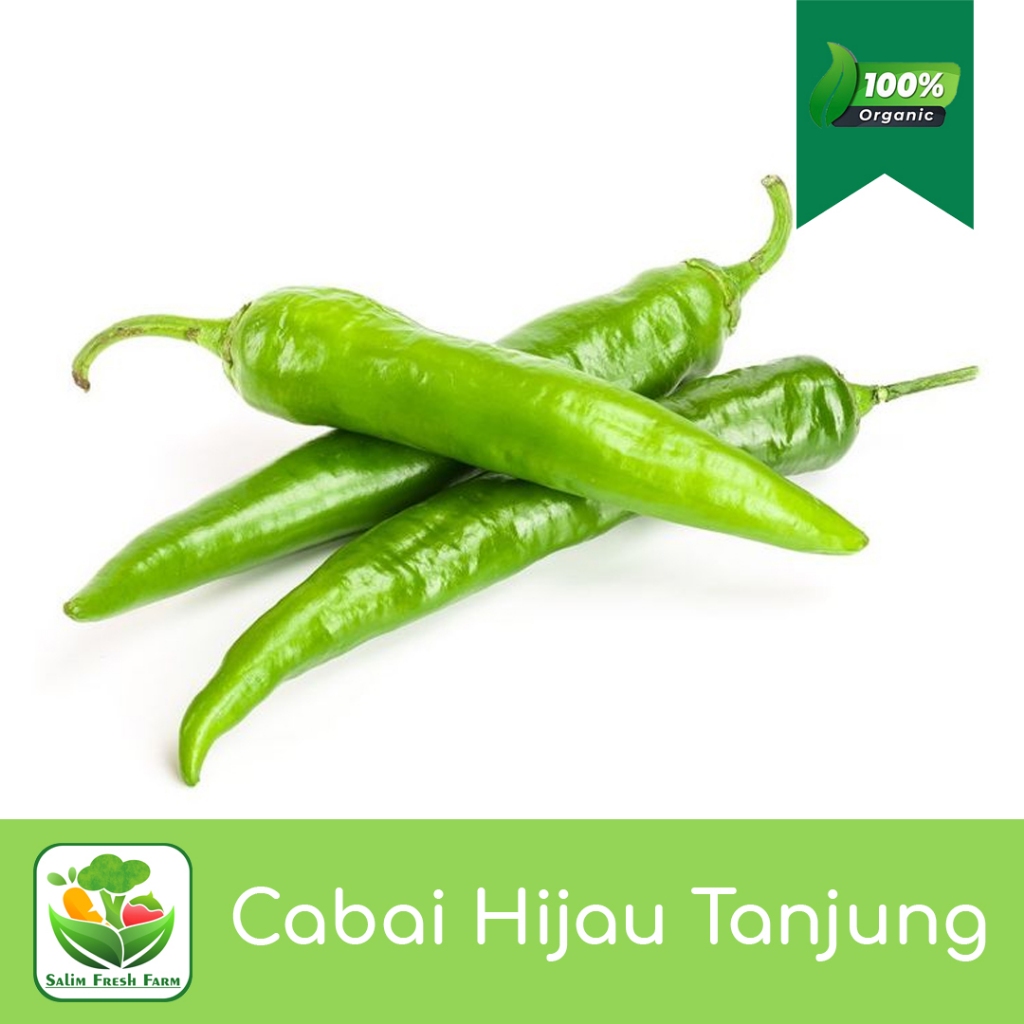 Cabe hijau tanjung / Cabe hijau besar / Cabe hijau besar 1kg / Cabai hijau / Cabai hijau besar