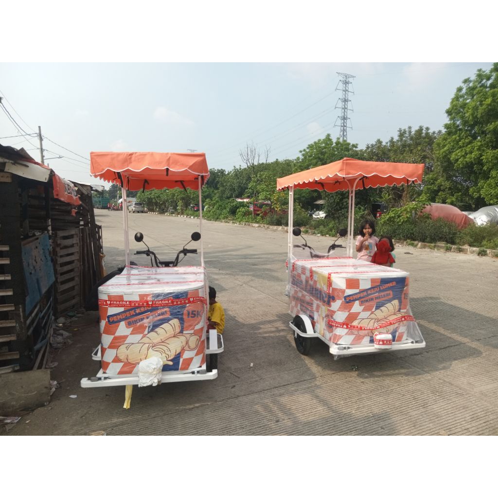 

gerobak sepeda listrik custom + kanopi ukuran 120x80x60