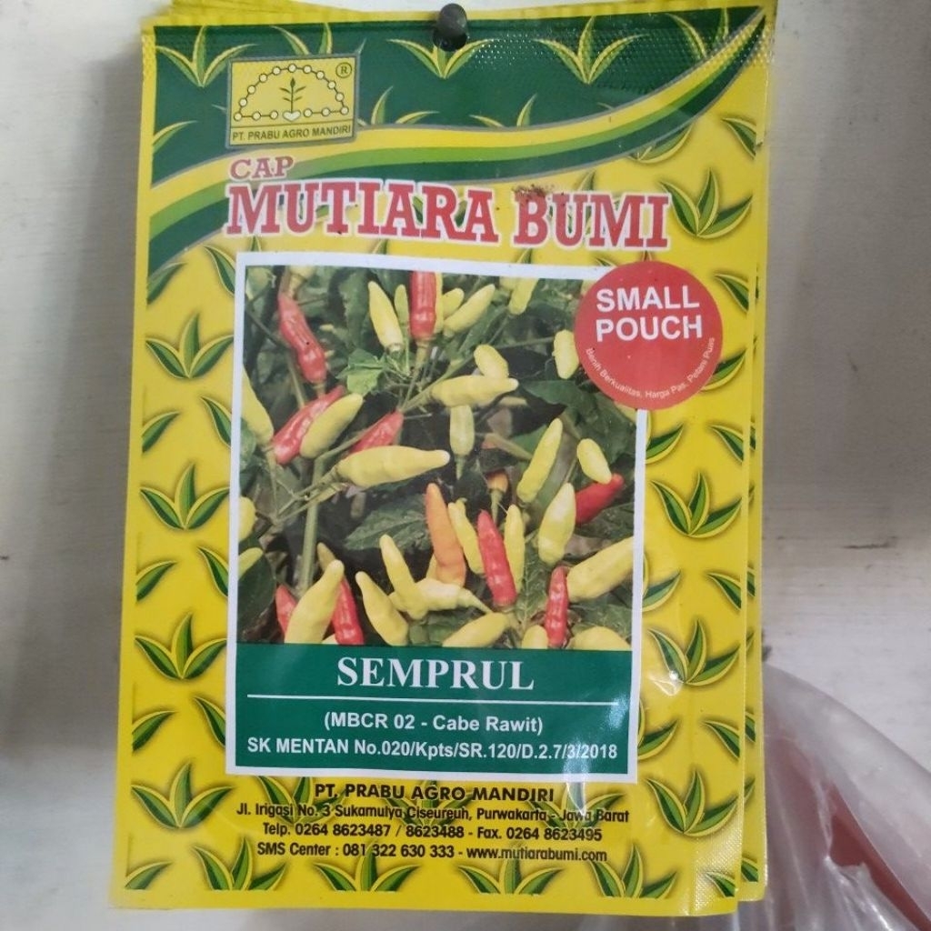 

SEMPRUL CABE RAWIT ISI 500 BUTIR CAP MUTIARA BUMI