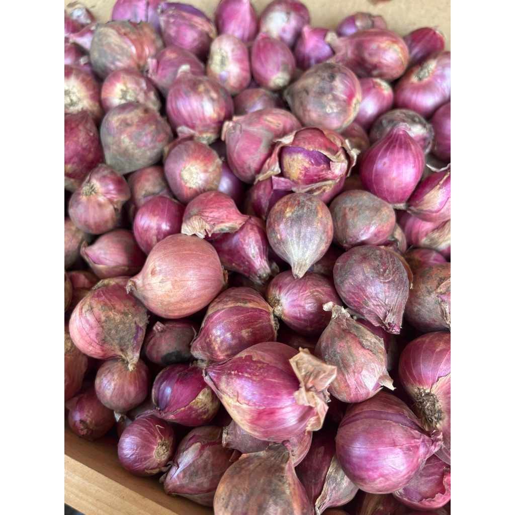 

Bawang merah