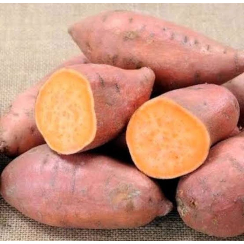 

Ubi Jalar Orange Fresh Segar