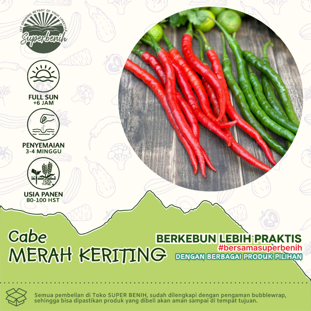 15 Biji - Benih CABE MERAH KERITING hibrida, Cabai besar tahan virus