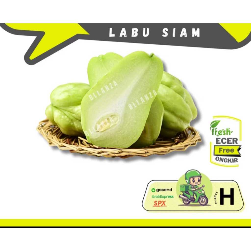 

Tokotenan // Labu Siam / Jipang -- Sayur Gunung Ecer (H)