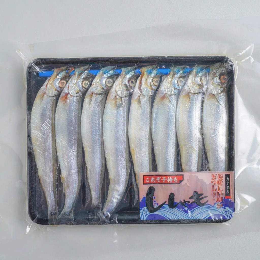 

Ikan Shisamo Fresh Murah Meriah