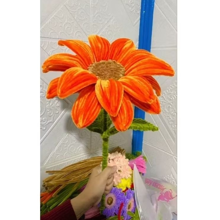 Bunga Matahari Jumbo
