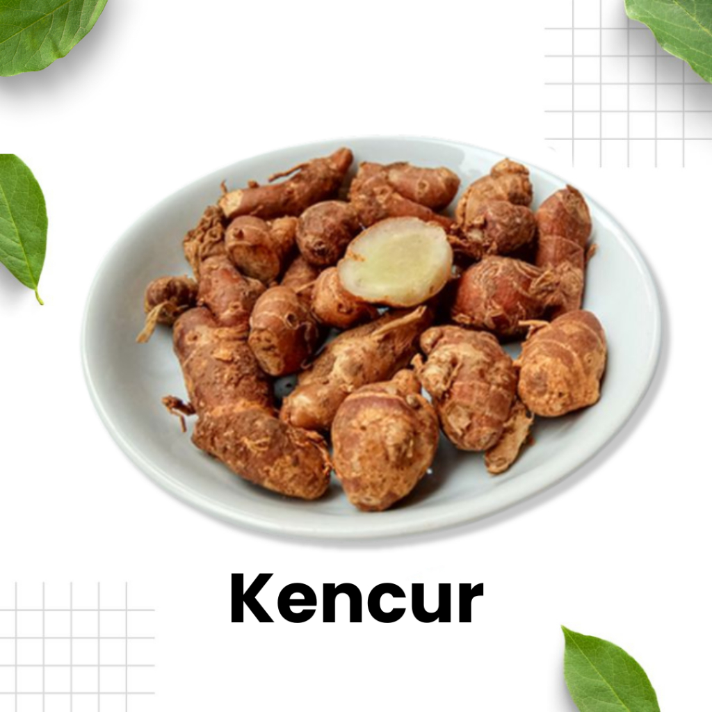 

Kencur 100gram / Bumbu kencur / rempah kencur / bumbu dapur / masakan sayur / Sidoarjo Surabaya