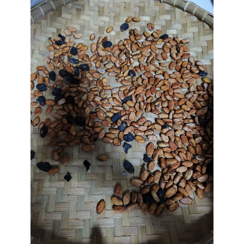 

Biji coklat kakao/1kg