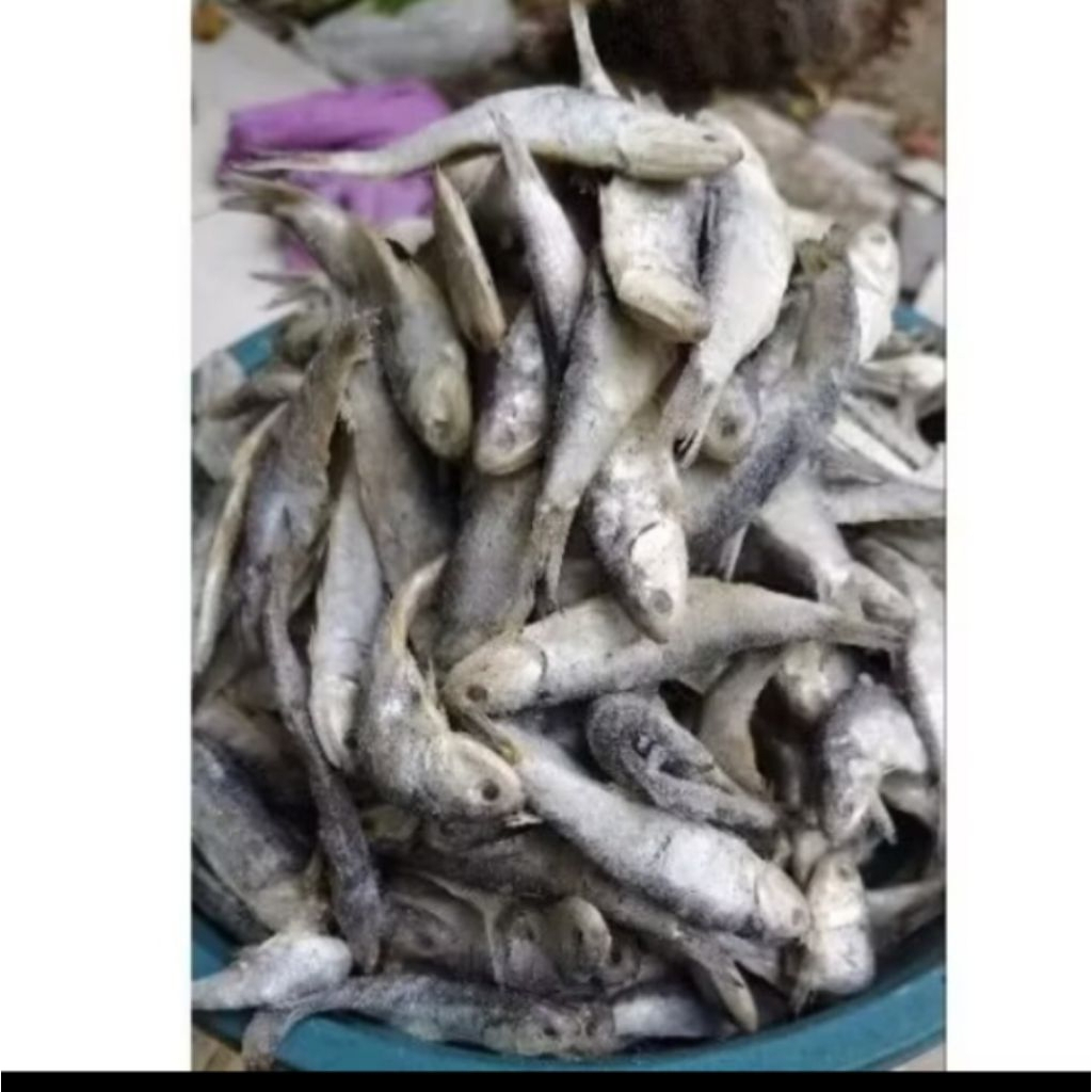 

ikan asin bilis putih fres dan Sega langsung dapat dari laut. harga mulai 1kg. ukuran campur size jumbo n sedang