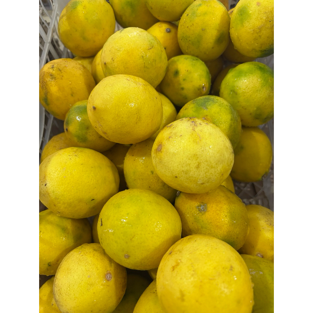 

Lemon Lokal harga untuk 1 Kg