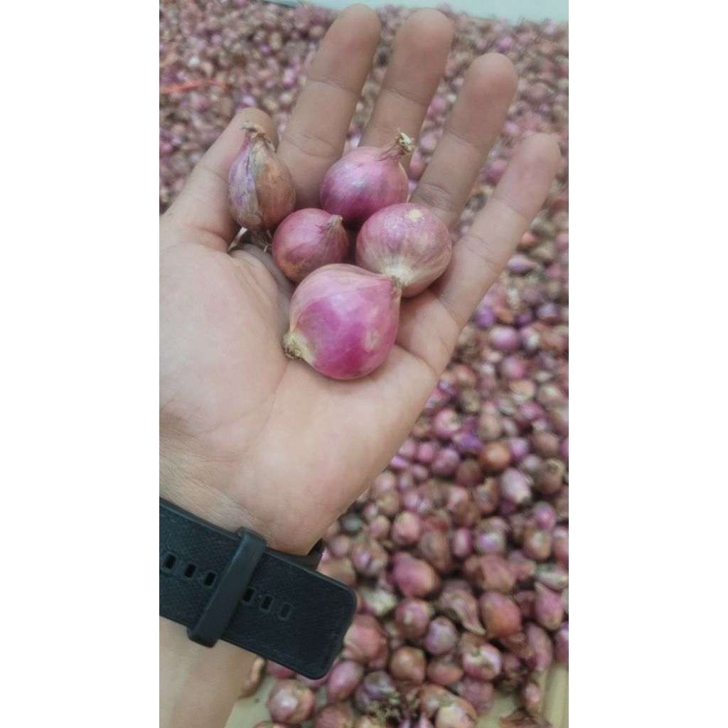 

Bawang merah Uk 1 Kg