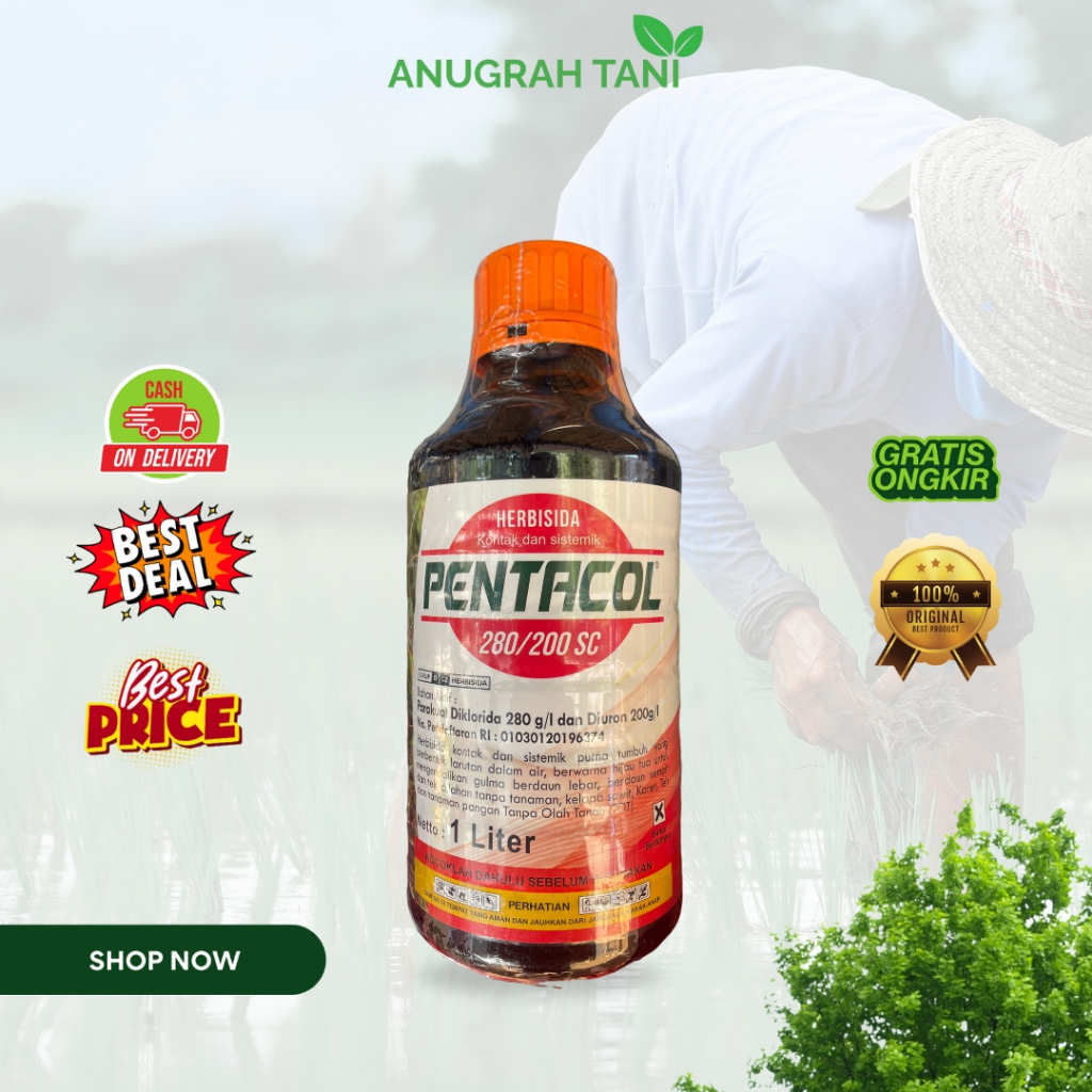 PENTACOL 1 Liter Herbisida Kontak & Sistemik