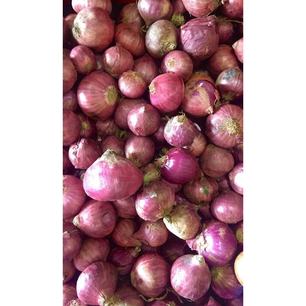 

Bawang merah Bantaeng