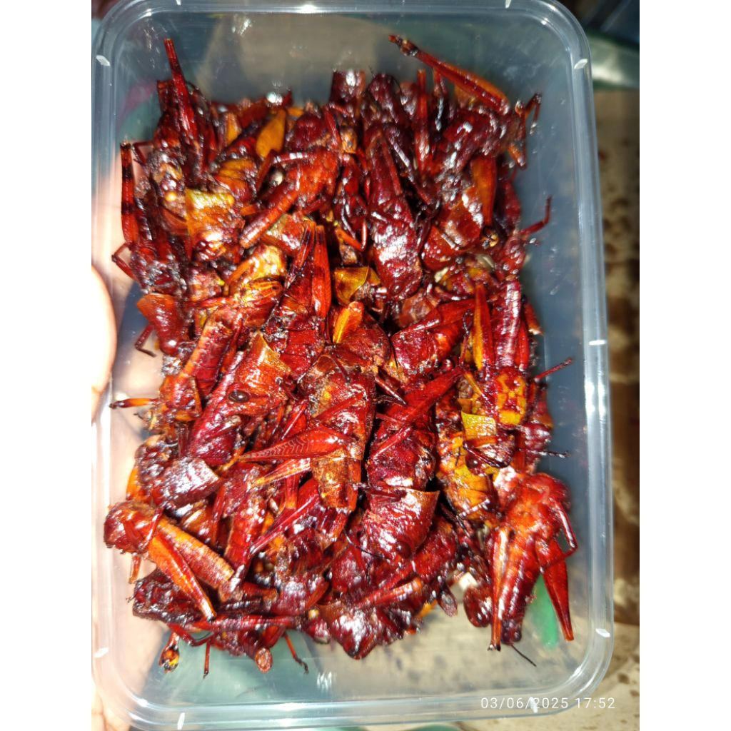 

belalang goreng walang goreng