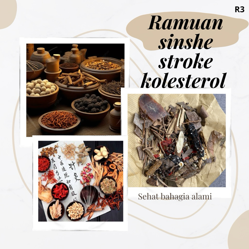 

stroke kolesterol ramuan sinse herbal alami sinshe