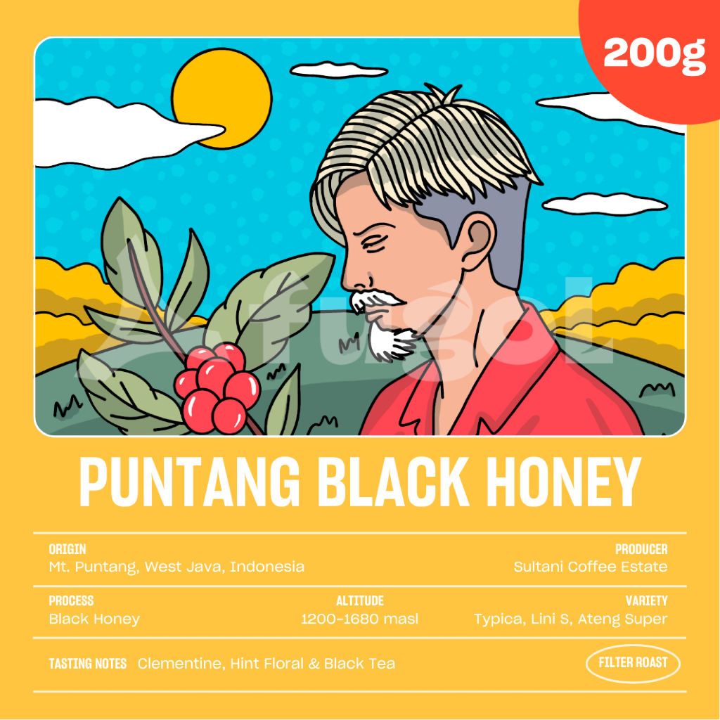 

Kopi Arabika PUNTANG BLACK HONEY (200 gr) Single Origin Specialty Coffee Arabica