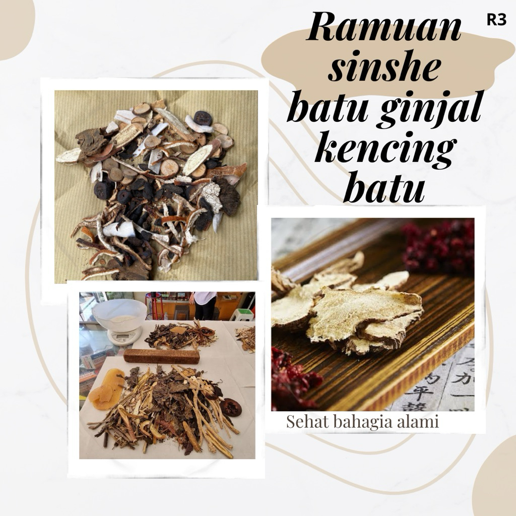 

kencing batu batu ginjal sembuh tanpa oprasi herbal ramuan sinse sinshe
