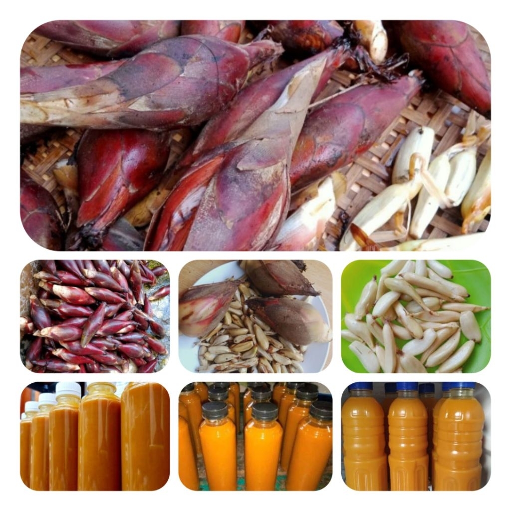 

Jual jus galoba jus buah galoba / jus pining bawang 600 ml