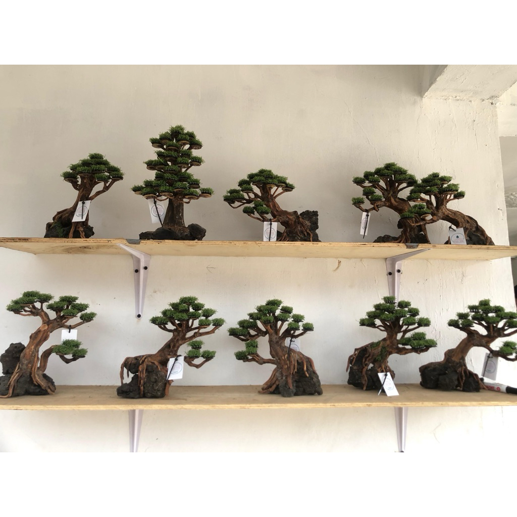 BONSAI AQUARIUM / BONSAI AQUASCAPE /POHON MINI AQUARIUM