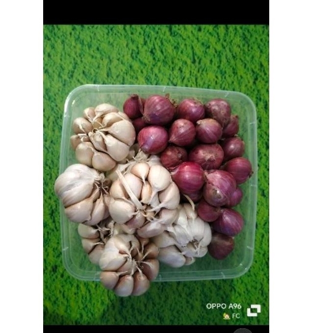 

Bawang Merah Probolinggo 500gr Bawang Putih 500gr
