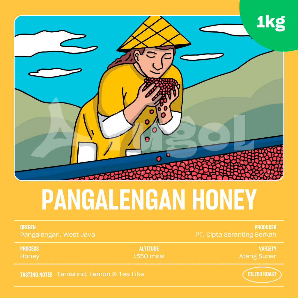 

Biji Kopi Arabica Pangalengan Honey (1 KG) Specialty Single Origin