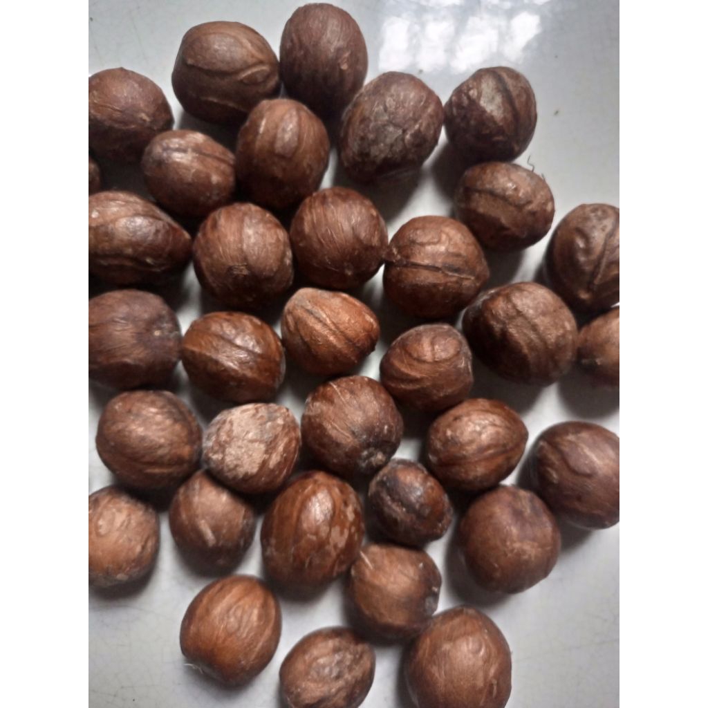 

Buah biji pala kering Tua bumbu masakan per 1kg