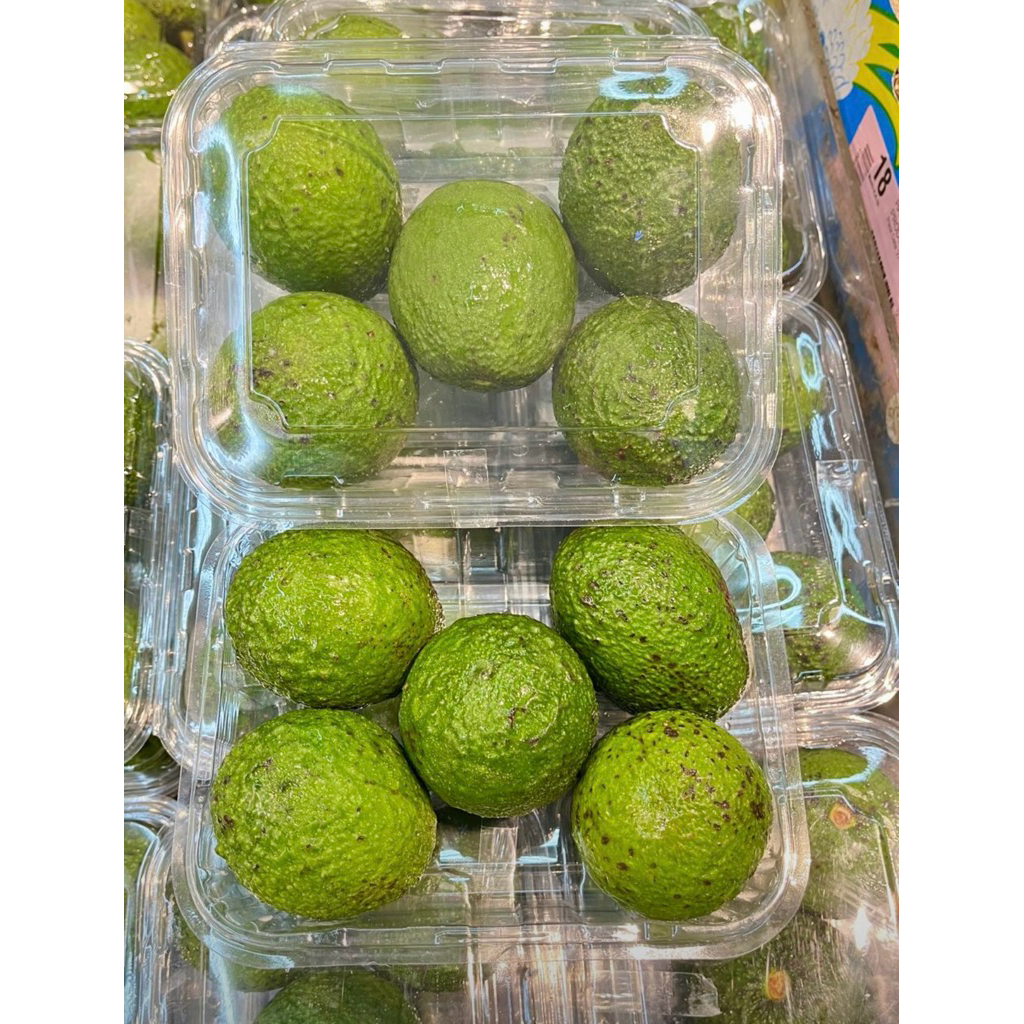 

Alpukat Cherry Import | Avocado Cherry Australia | Pack