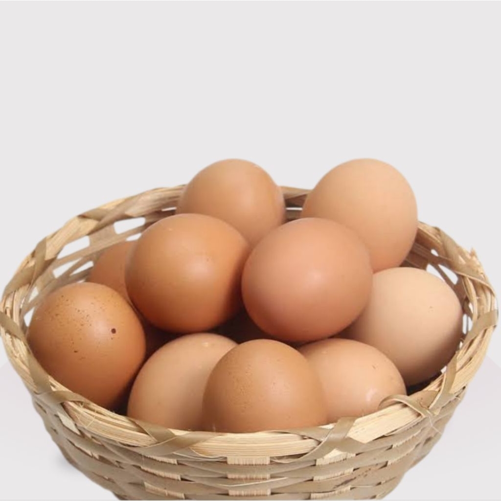 

Telur Ayam Petelur