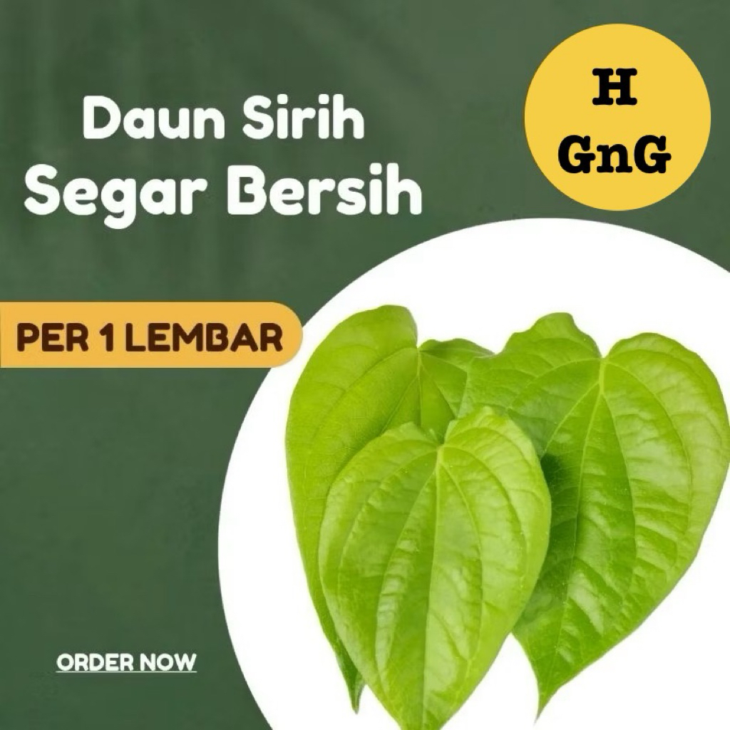 

Daun Sirih 20 lembar