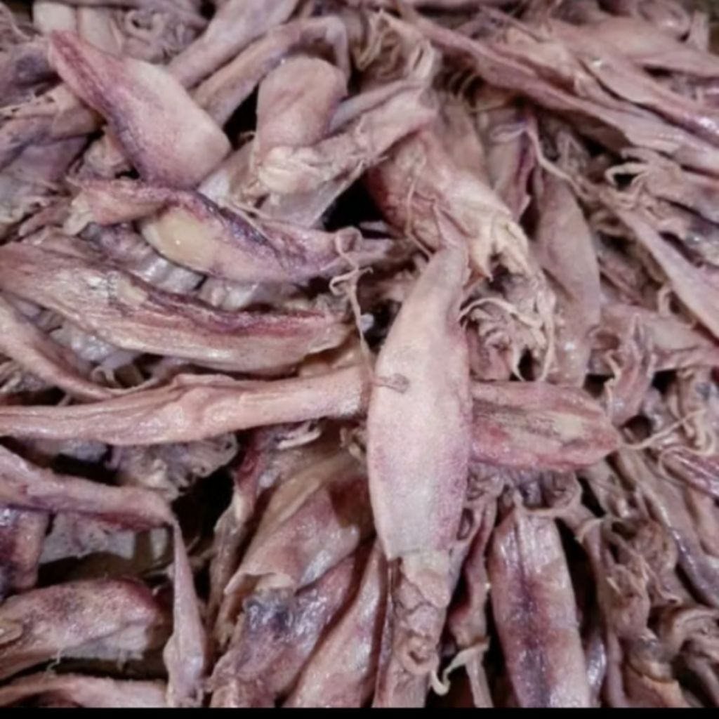 

ikan asin kering cumi sotong size jumbo, hasil langsung dari laut harga mulai dari 1kg, kering ya bukan basah tidak terlalu asin