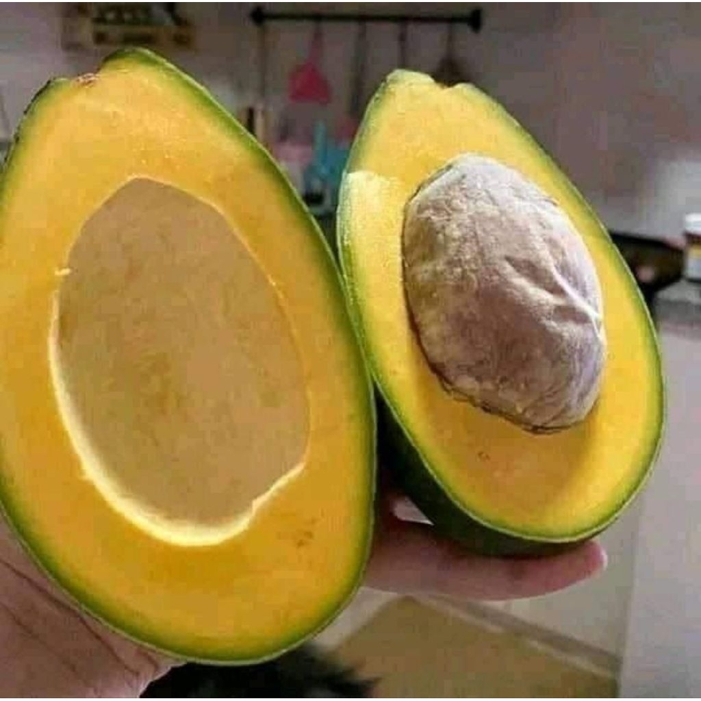 

ALPUKAT MENTEGA MIKI MURIA 1kg