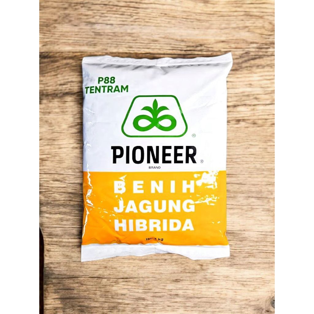 Pioneer P88 Tentram benih jagung hibrida