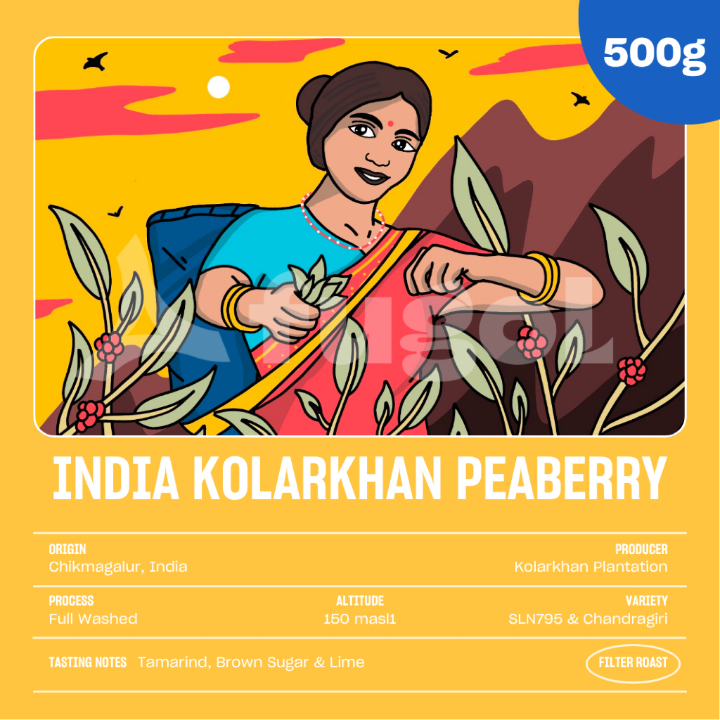 

Kopi Arabika India Kolarkhan Peaberry Washed (500gr) Single Origin Specialty Coffee