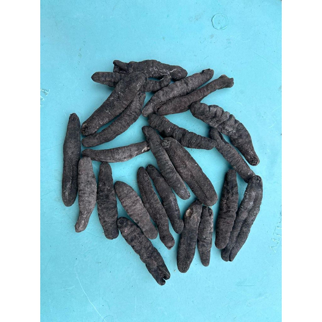 

Teripang Kering CerahHitam