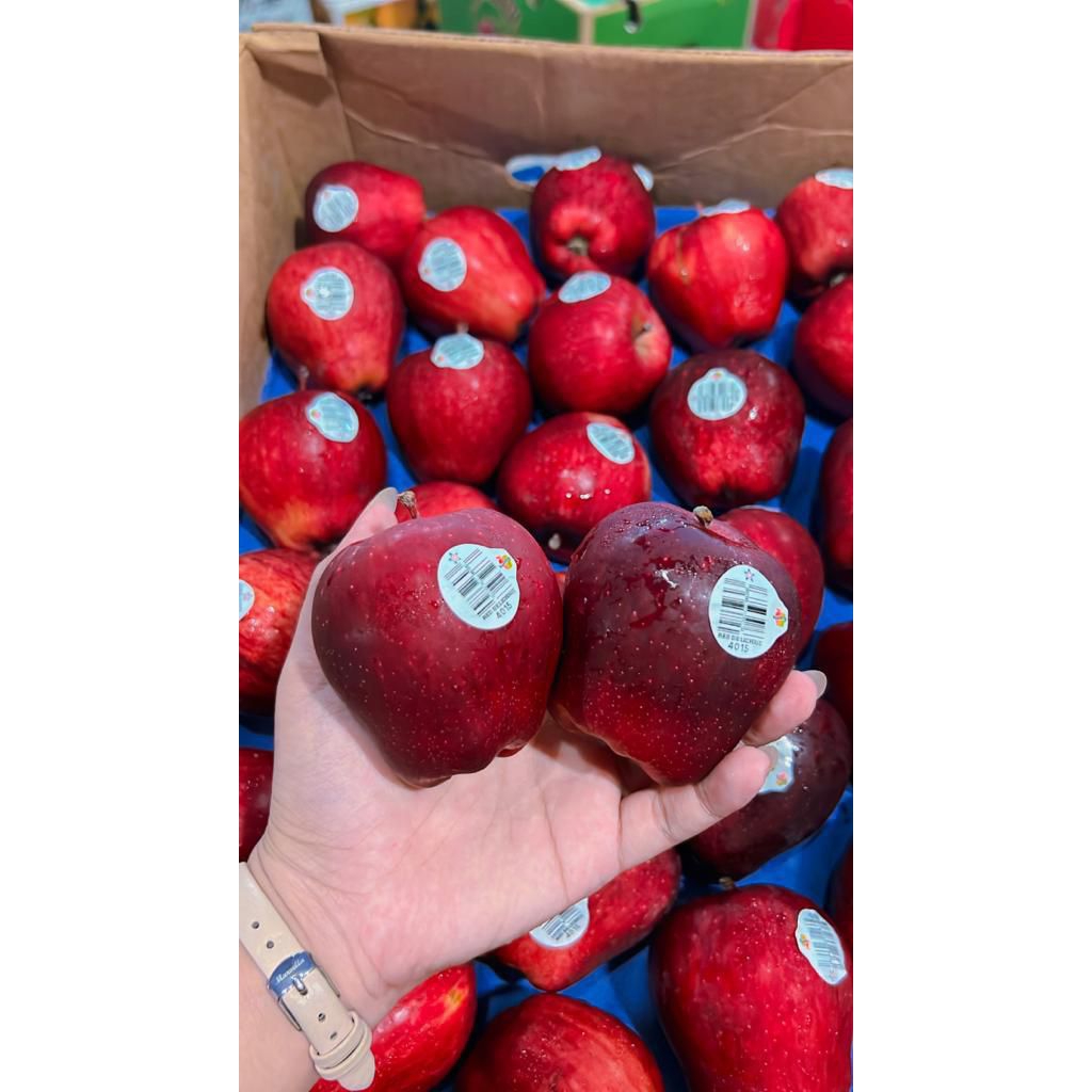 

BUAH APEL WHASINGTON FRESH 1KG