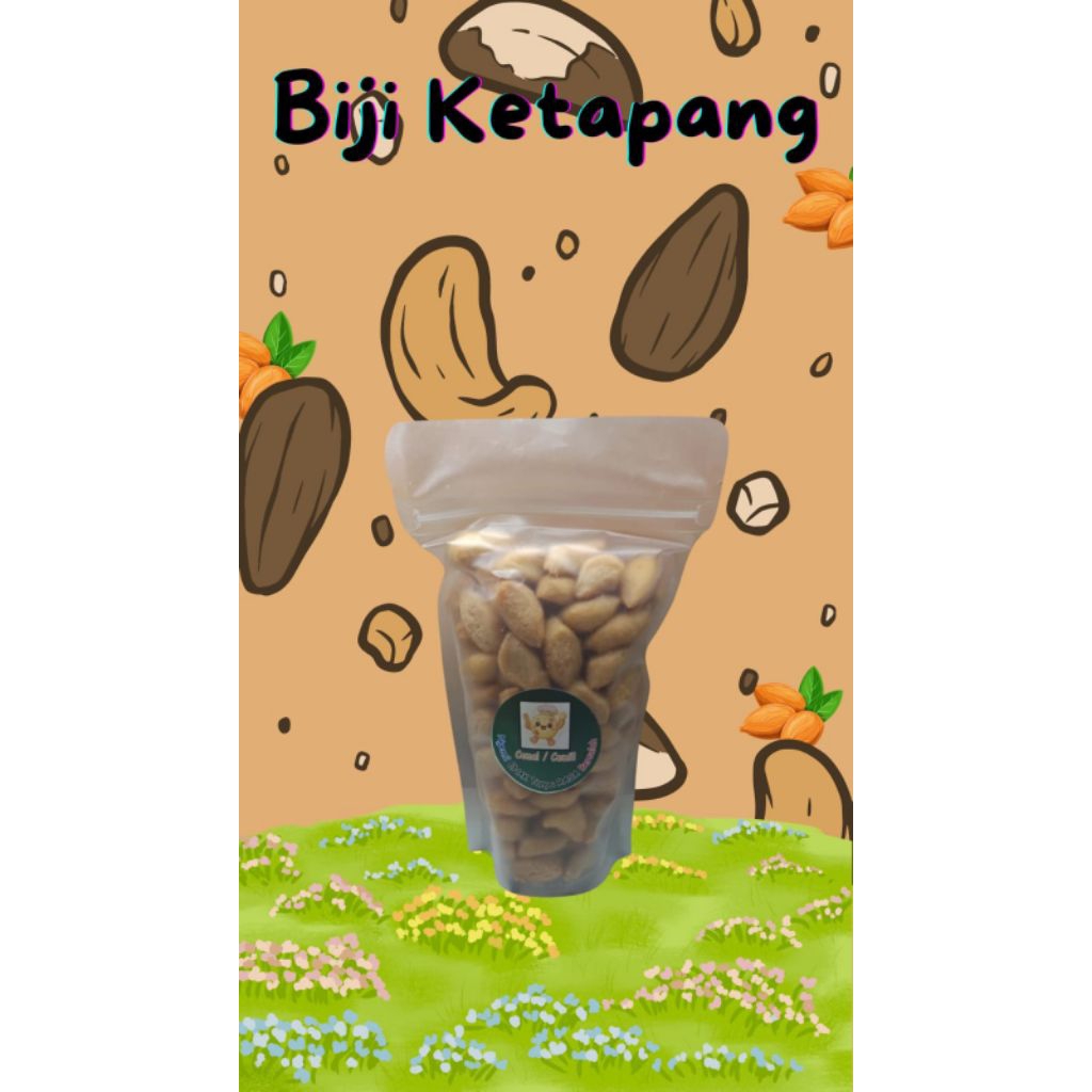 

Biji Ketapang