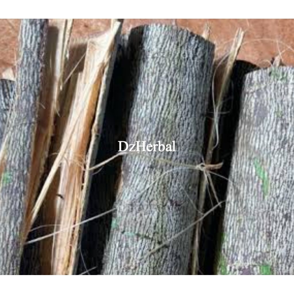 

Kulit kersen segar organik kulit pohon talok 200 gram