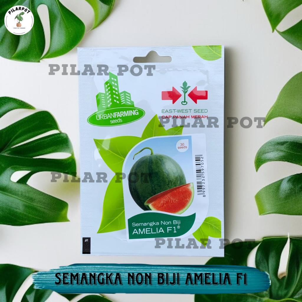 Benih Bibit Semangka Merah Non Biji Amelia F1 Cap Panah Merah - SEMANGKA AMELIA F1 EAST WEST SEED