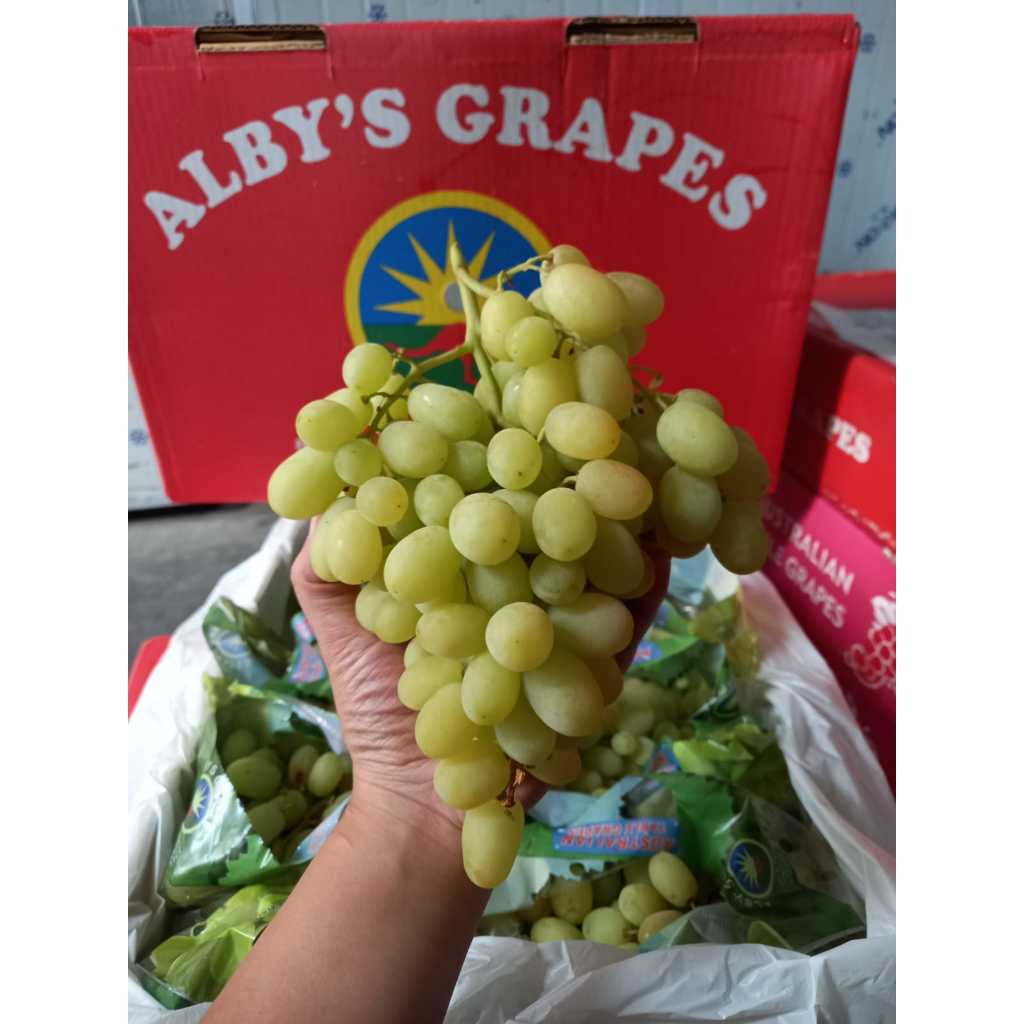 

Anggur Cool Grapes