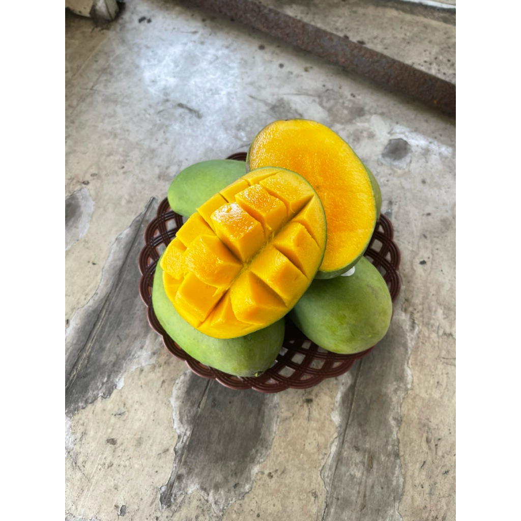 

buahfreshku - mangga harumanis 2 pcs