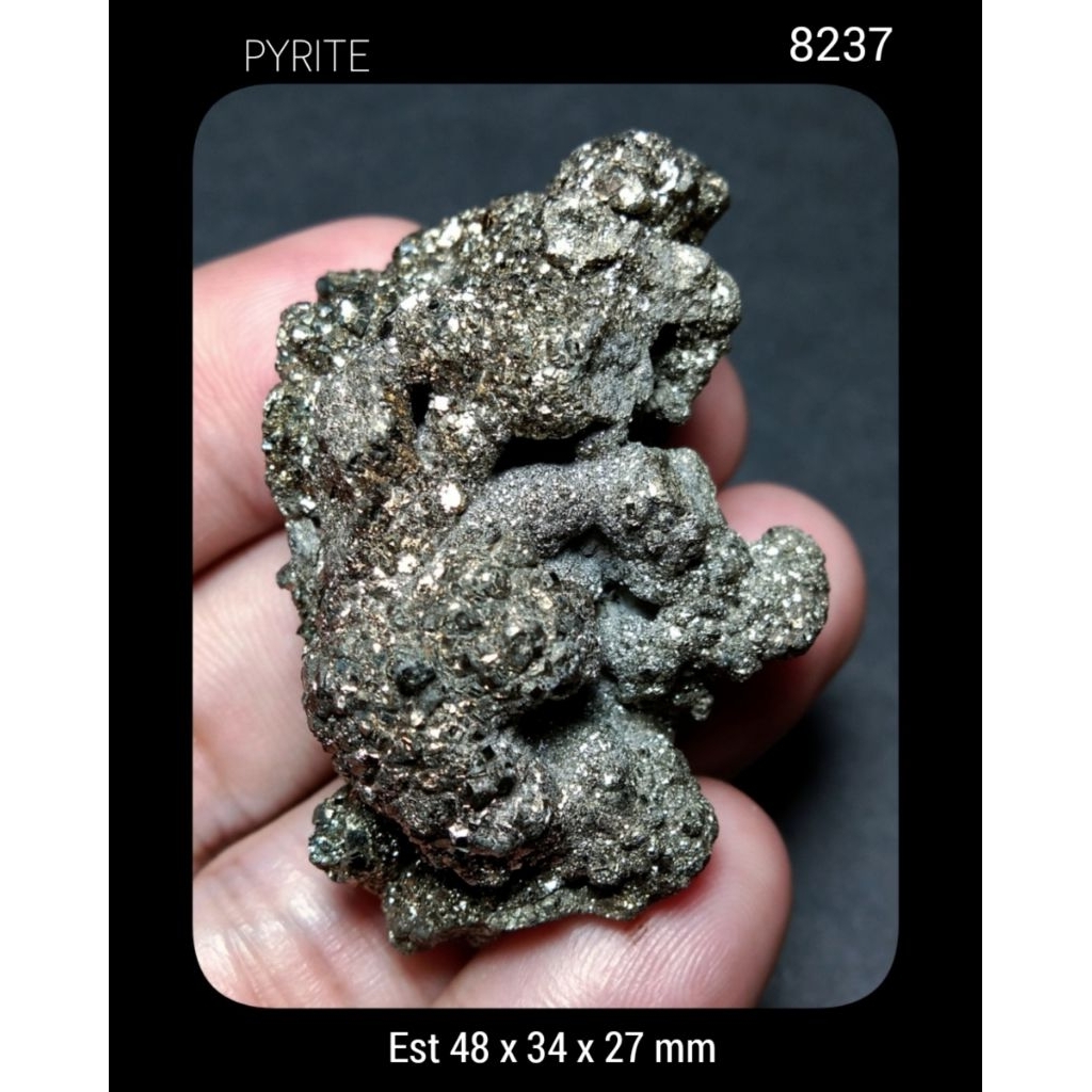 8237 Batu Pyrite