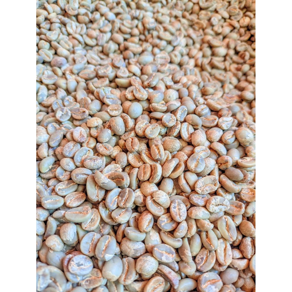 

Greenbean Arabika Fullwashed Payung