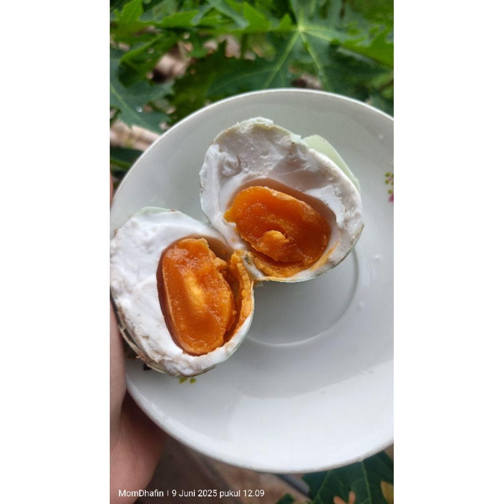 

telurbebekmuasirrrr//isi 10 butir