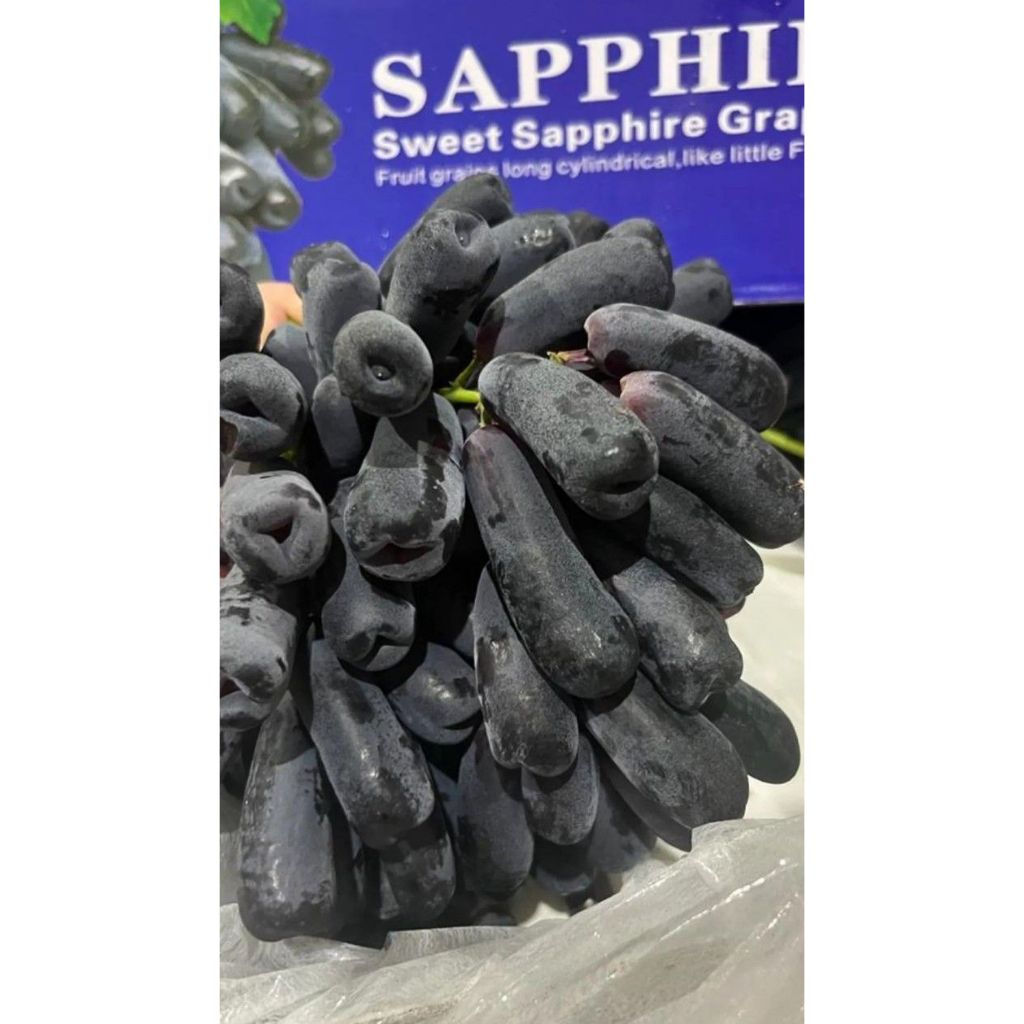 

ANGGUR HITAM AUTUMN MOONDROP / SWEET SAPHIRE