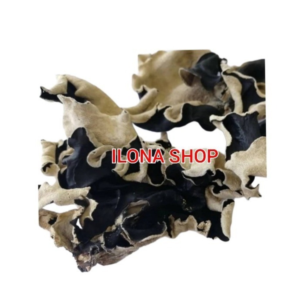 

JAMUR KUPING KERING 100 GRAM