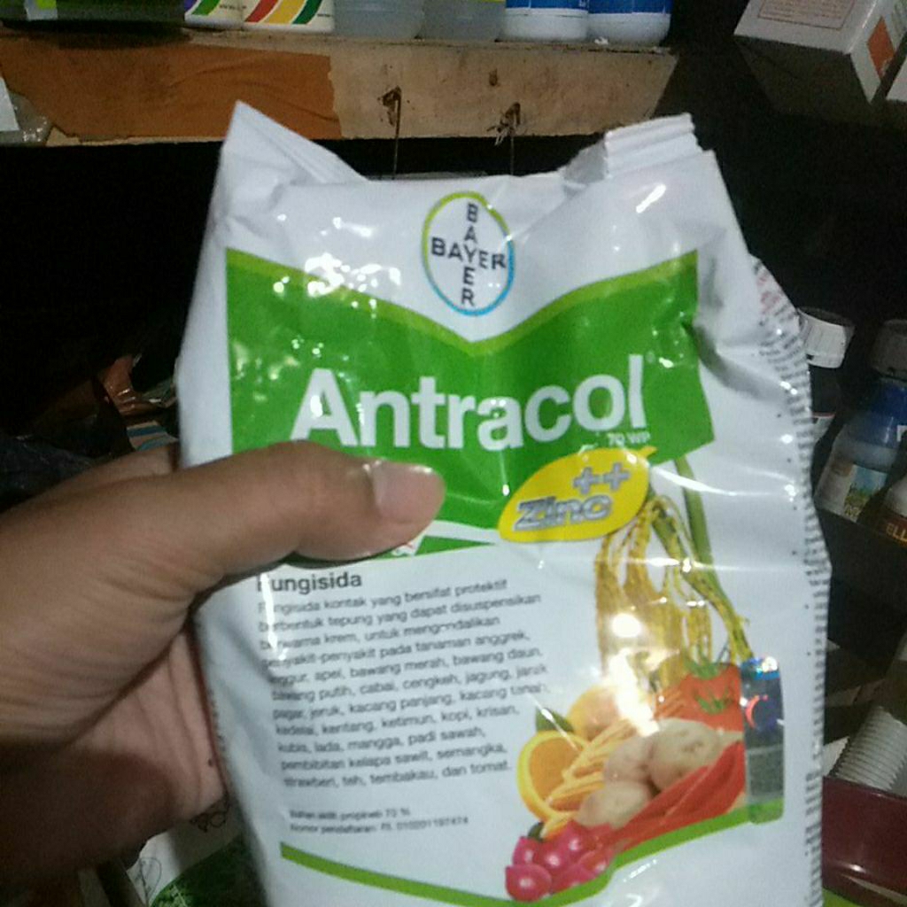 fungisida antracol 250gram