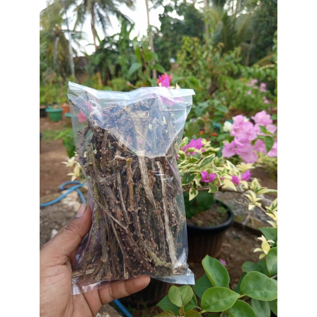 

butrowali kering berat 250g/ herbal alami/ asli butrowali hutan